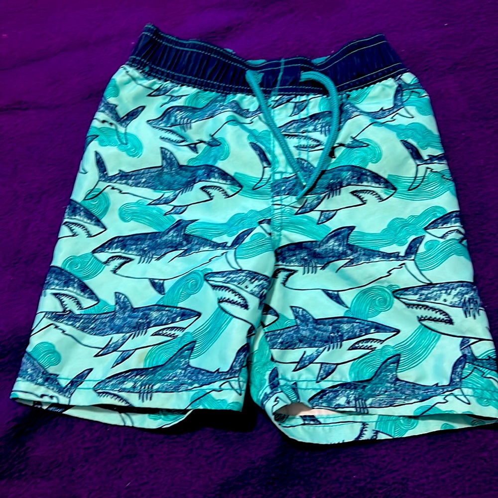 Old navy shark size 2T and Nickelodeon ninja turtle size 24M swimming trunks